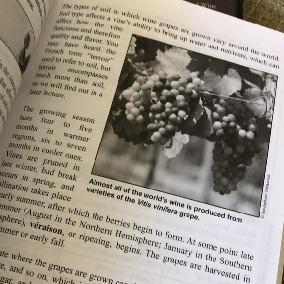 Everyday Guide to Wine - Picture 3 of 4